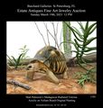 Matt Patterson Madagascar Radiated Tortoise Painting Burchard Galleries Auction