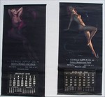 Click for larger picture