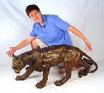 Click for larger picture