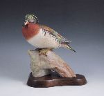 Click for larger picture