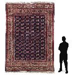 Click for larger picture