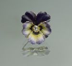 Click for larger picture