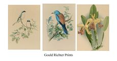 Gould Richter Prints