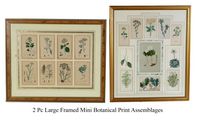 2 Piece Large Framed Mini Botanical Print Assemblages