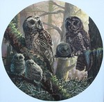 Click for larger picture