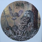 Click for larger picture