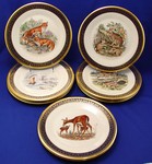 Click for larger picture