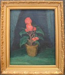 Click for larger picture