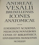 Click for larger picture