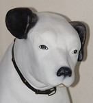 Click for larger picture