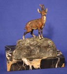 Click for larger picture