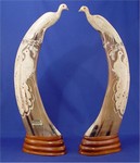 Click for larger picture