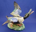 Click for larger picture