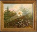 Click for larger picture