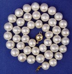 Click for larger picture