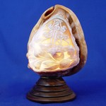 Click for larger picture