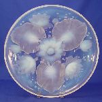 Click for larger picture