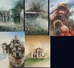 Click for larger picture