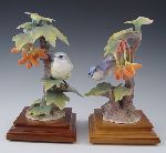 Click for larger picture