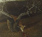 Click for larger picture