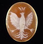 Click for larger picture