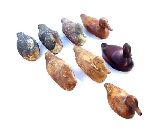 Click for larger picture