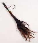 Click for larger picture