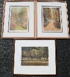 Click for larger picture