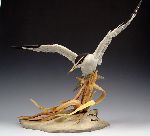 Click for larger picture