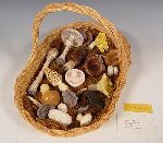 Click for larger picture