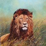 Click for larger picture