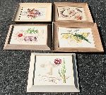 Click for larger picture