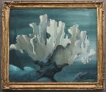 Click for larger picture