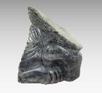 Click for larger picture