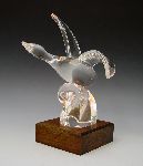 Click for larger picture