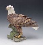 Click for larger picture