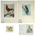 Click for larger picture