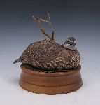 Click for larger picture