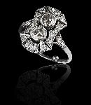 Click for larger picture