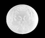 Click for larger picture