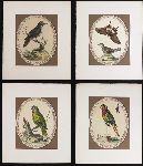 Click for larger picture