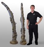 Click for larger picture