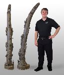 Click for larger picture