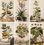 Click for larger picture