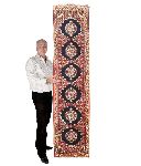 Click for larger picture