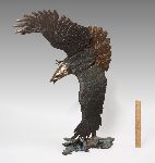 Click for larger picture