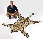 Click for larger picture