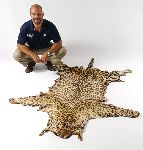 Click for larger picture