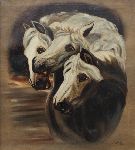 Click for larger picture