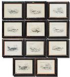 Click for larger picture